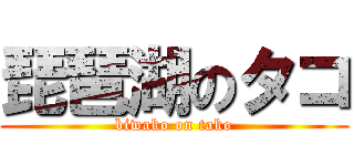 琵琶湖のタコ (biwako on tako)