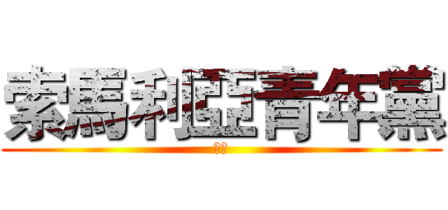 索馬利亞青年黨 (簡介)