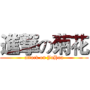 進撃の菊花 (attack on JuHua)