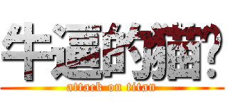 牛逼的猫总 (attack on titan)