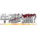 牛逼的猫总 (attack on titan)