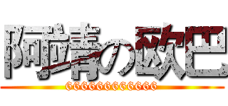 阿靖の欧巴 (666666666666)