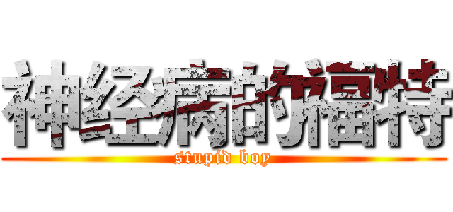 神经病的福特 (stupid boy)