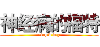 神经病的福特 (stupid boy)
