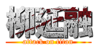 柳延融 (attack on titan)