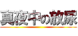 真夜中の放尿 ()