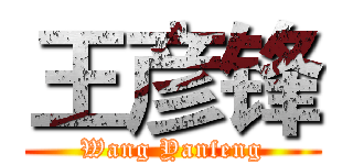 王彦锋 (Wang Yanfeng)