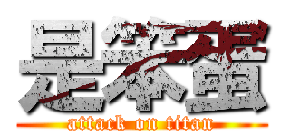 是笨蛋 (attack on titan)