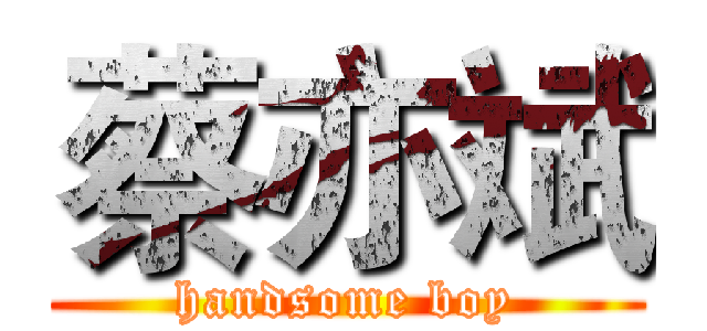 蔡亦斌 (handsome boy)