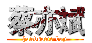 蔡亦斌 (handsome boy)