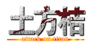 土方桔 (attack on titan)
