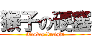 猴子の硬塞 (Monkey Insight)