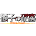 猴子の硬塞 (Monkey Insight)