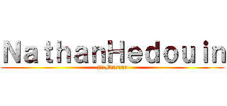 ＮａｔｈａｎＨｅｄｏｕｉｎ (Zi Baiseur)