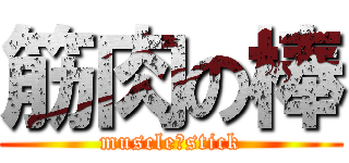 筋肉の棒 (muscle　stick)