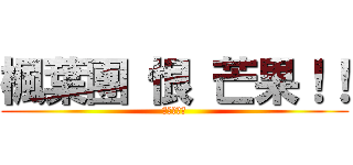 楓葉團 恨 芒果！！ (楓葉團最讚)