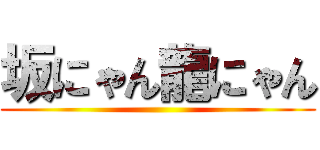 坂にゃん龍にゃん ()