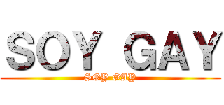 ＳＯＹ ＧＡＹ (SOY GAY)