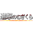 進撃のむぎくら (attack on Mugikura)