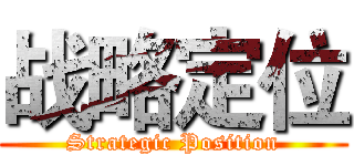 战略定位 (Strategic Position)