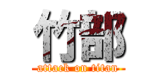 竹部 (attack on titan)
