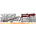 進撃の巨猫 (attack on Big Cat)