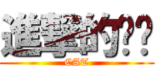 進撃的喵喵 (CAT)