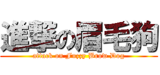 進撃の眉毛狗 (attack on Fuzzy Brow Dog)