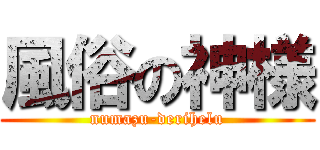 風俗の神様 (numazu-derihelu)