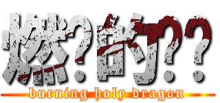 燃烧的圣龙 (burning holy dragon)