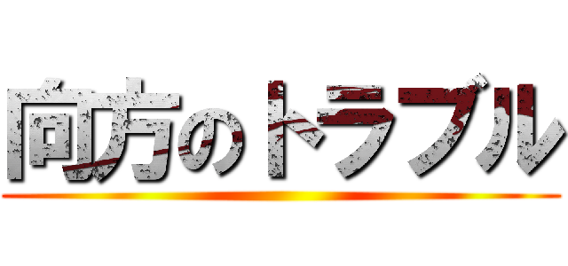 向方のトラブル ()