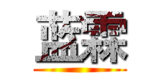 蓝霖 ()