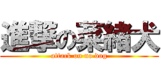 進撃の菜緒犬 (attack on no dog)