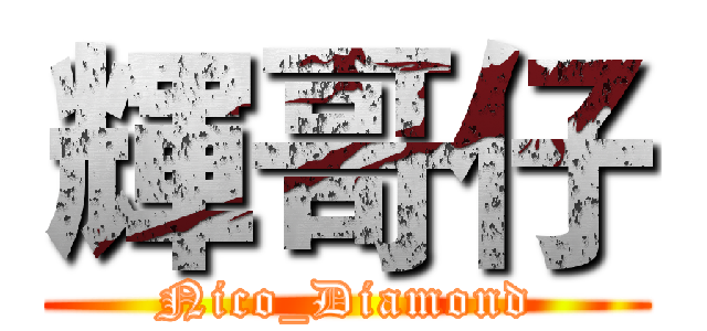 輝哥仔 (Nico_Diamond)