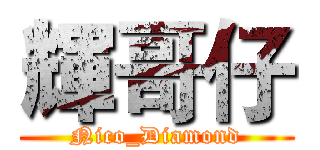 輝哥仔 (Nico_Diamond)