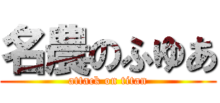 名農のふゆあ (attack on titan)