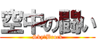 空中の闘い (Sky　Brock)