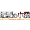 肥肥の小浣 (attack on titan)