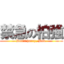 禁急の柏強 (Don\'t hurry, Bob.)