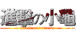 進擊の小龜 (attack on tortoise)