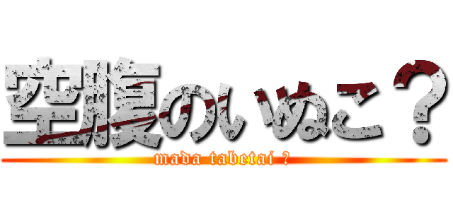 空腹のいぬこ？ (mada tabetai ?)