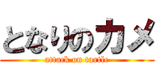 となりのカメ (attack on turtle)