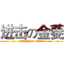 进击の金菱 (attack on titan)