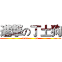 進撃の丁土狗 (    come       on     )