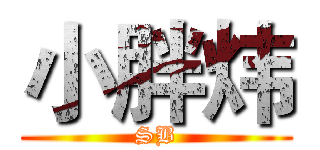 小胖炜 (SB)