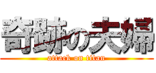 奇跡の夫婦 (attack on titan)