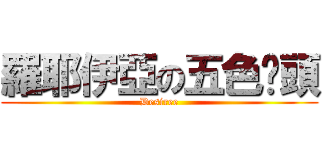 羅耶伊亞の五色雞頭 (Desiree)