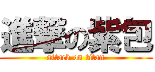 進撃の紫包 (attack on titan)