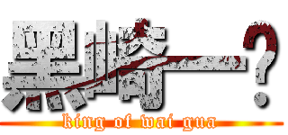 黑崎一护 (king of wai gua)