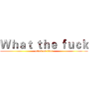 Ｗｈａｔ ｔｈｅ ｆｕｃｋ (attack on titan)
